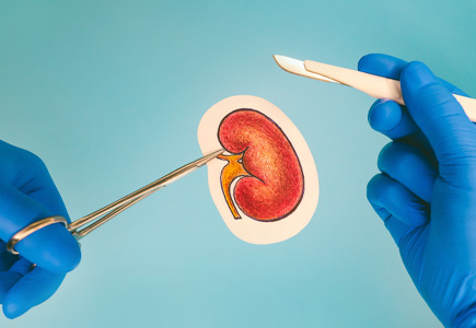 What Are The Important Facts To Know About Kidney Transplant Surgery