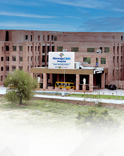 jodhpur banner