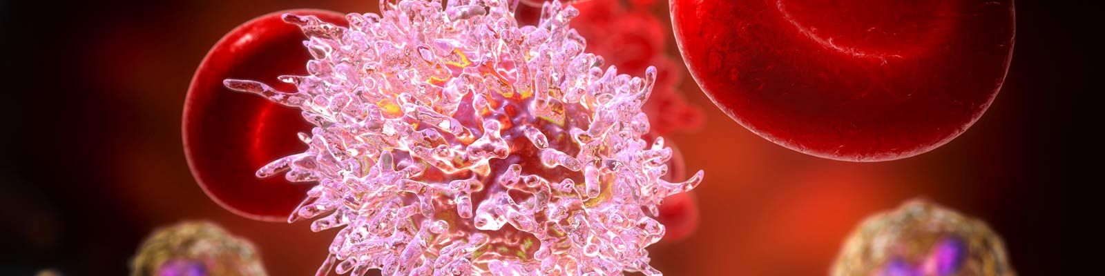 The Role of Supportive Care In Cancer Treatment