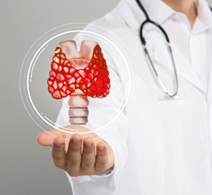 Understanding Endocrinology