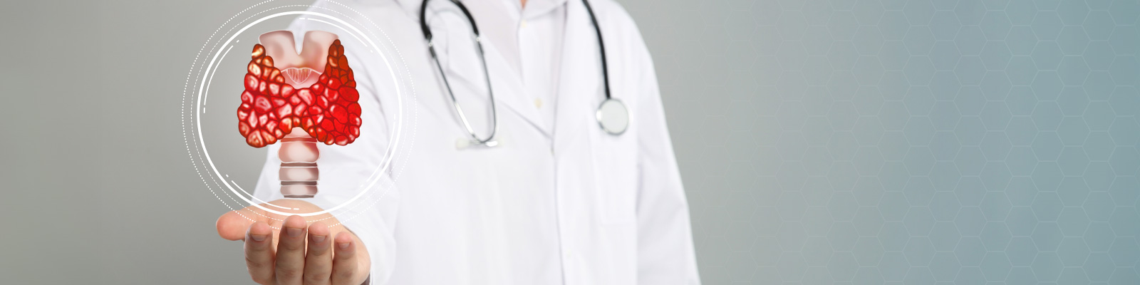 Understanding Endocrinology