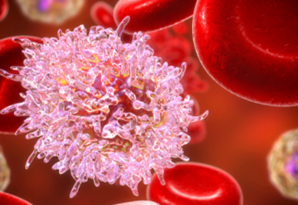 The Role of Supportive Care In Cancer Treatment