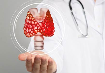 Understanding Endocrinology