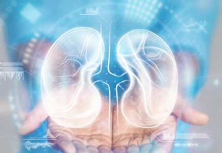 Preparing For Kidney Transplantation A Step-by-Step Guide For Patients In India