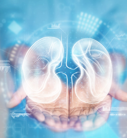 Preparing For Kidney Transplantation A Step-by-Step Guide For Patients In India
